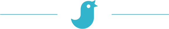 Bird Icon
